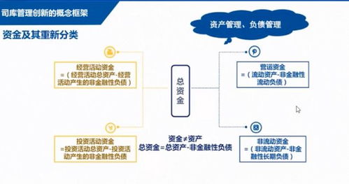 王竹泉教授 升级企业司库系统,优化金融资源配置