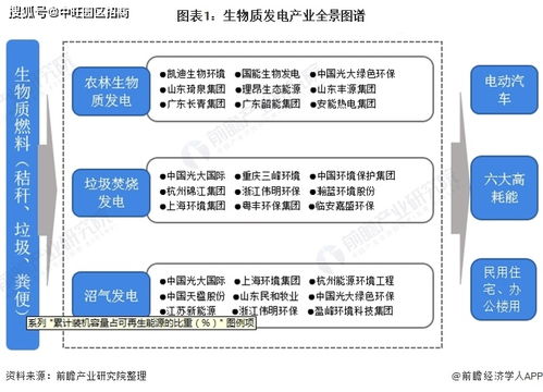 中旺产业 生物质发电产业链前景